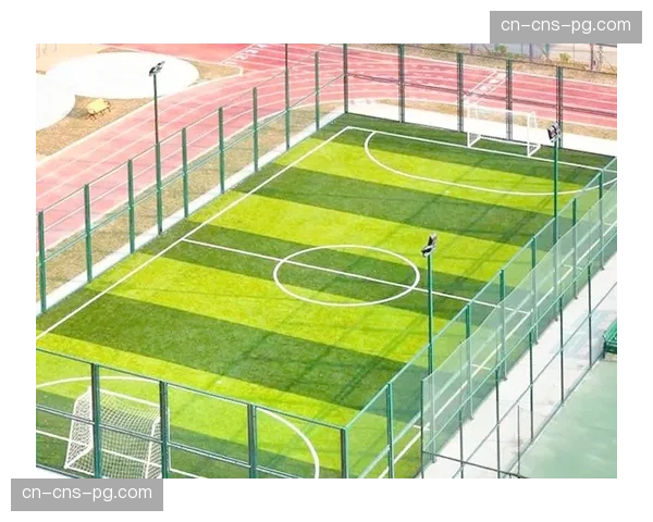 法国足协“Goal 2026”计划，资助百座业余球场灯光改造