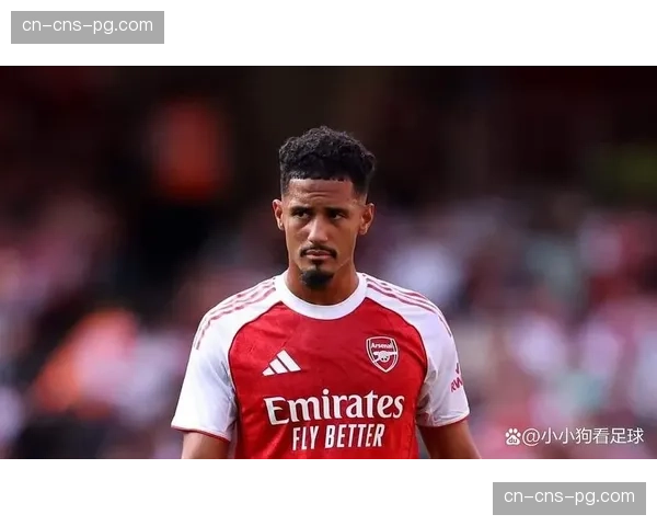 数据解析：阿森纳创队史单赛季防守纪录，萨利巴成后防基石