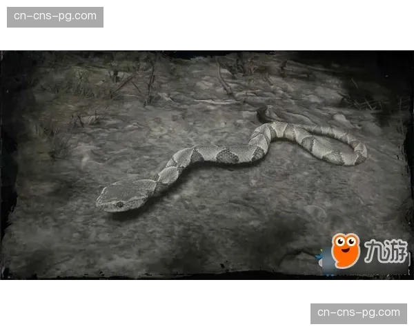 历史回顾：因斯布鲁克铜斑蛇球场的设计故事与“蛇窝”的由来